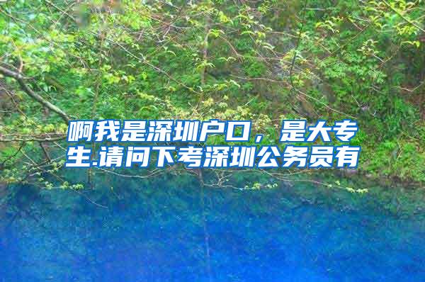 啊我是深圳户口，是大专生.请问下考深圳公务员有