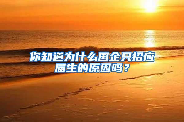 你知道为什么国企只招应届生的原因吗？
