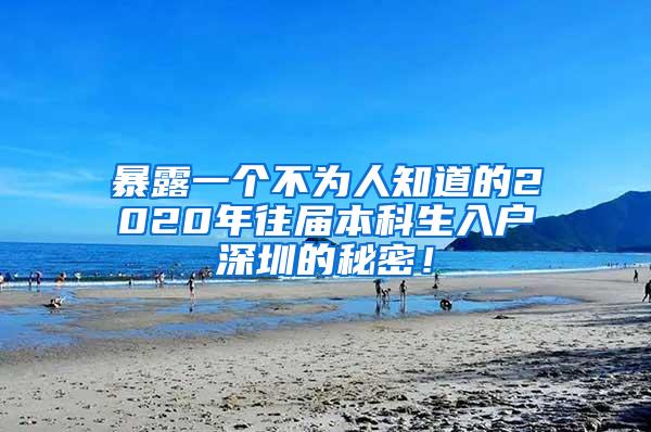 暴露一个不为人知道的2020年往届本科生入户深圳的秘密！