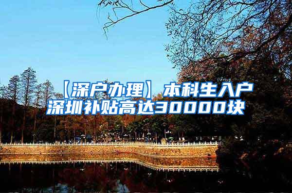 【深户办理】本科生入户深圳补贴高达30000块