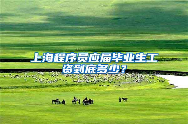 上海程序员应届毕业生工资到底多少？