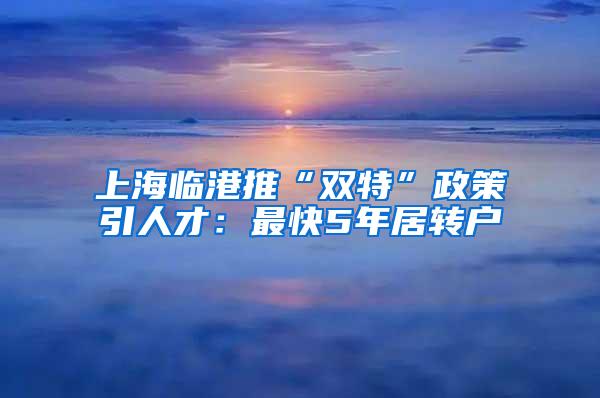 上海临港推“双特”政策引人才：最快5年居转户