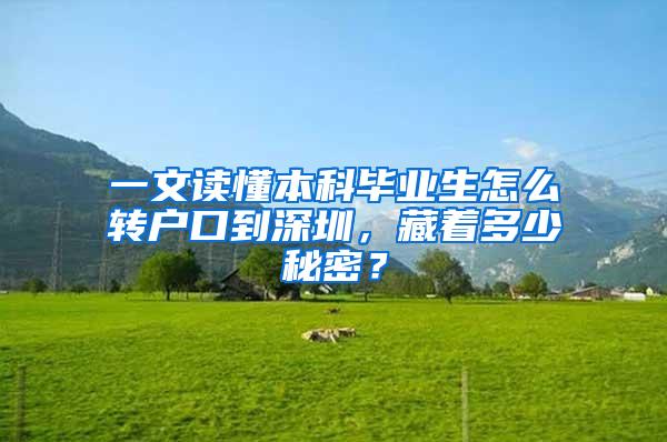 一文读懂本科毕业生怎么转户口到深圳，藏着多少秘密？