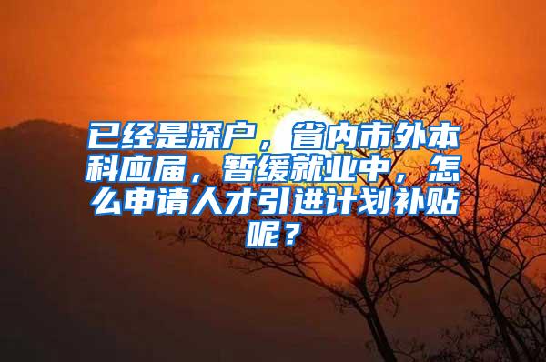已经是深户，省内市外本科应届，暂缓就业中，怎么申请人才引进计划补贴呢？
