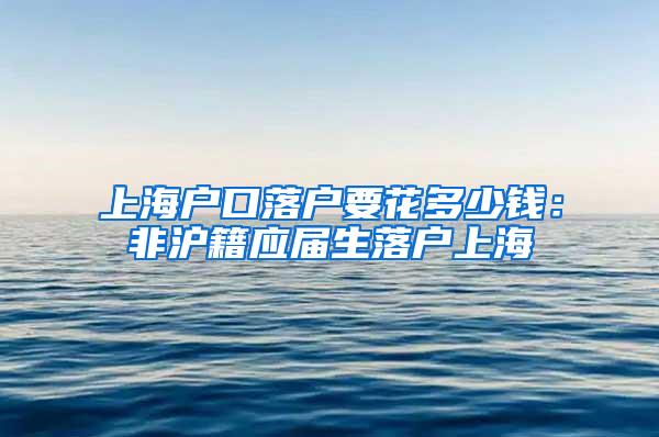 上海户口落户要花多少钱：非沪籍应届生落户上海