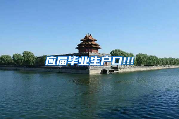 应届毕业生户口!!!