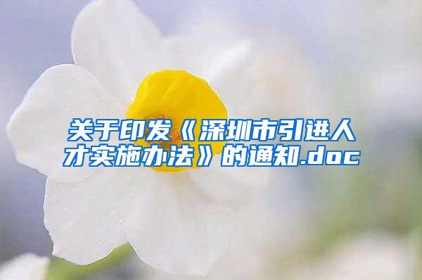 关于印发《深圳市引进人才实施办法》的通知.doc