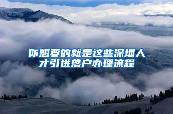 你想要的就是这些深圳人才引进落户办理流程