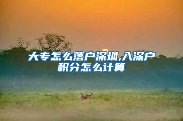 大专怎么落户深圳,入深户积分怎么计算