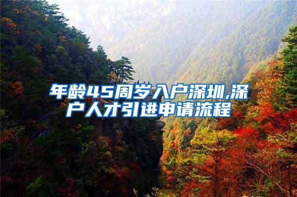年龄45周岁入户深圳,深户人才引进申请流程