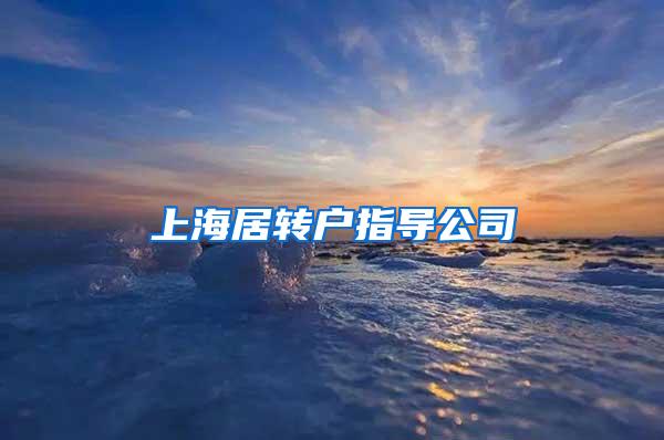 上海居转户指导公司