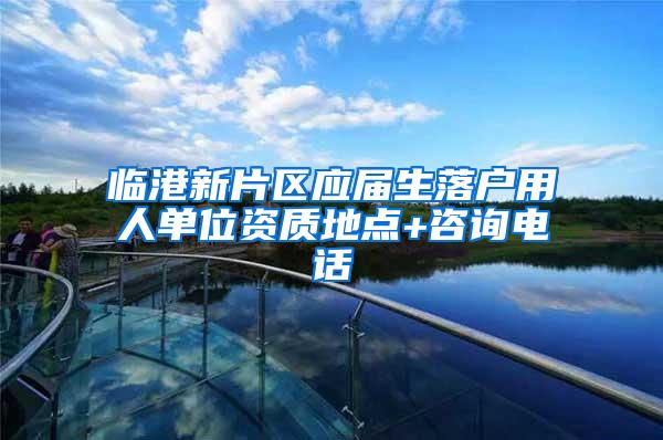 临港新片区应届生落户用人单位资质地点+咨询电话