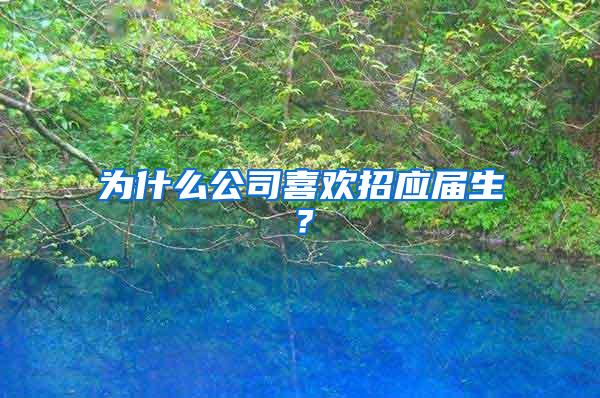 为什么公司喜欢招应届生？