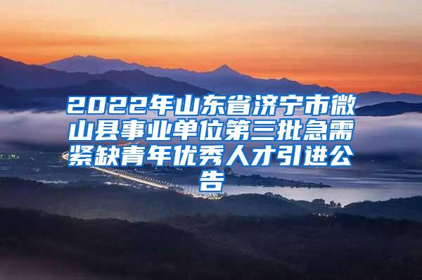 2022年山东省济宁市微山县事业单位第三批急需紧缺青年优秀人才引进公告