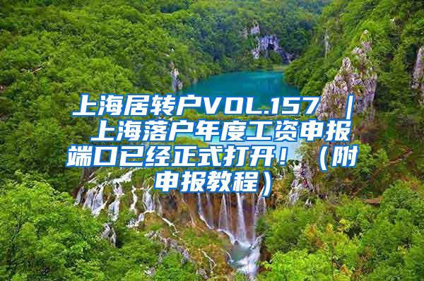 上海居转户VOL.157 ｜ 上海落户年度工资申报端口已经正式打开！（附申报教程）