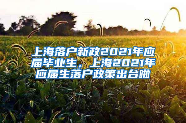 上海落户新政2021年应届毕业生，上海2021年应届生落户政策出台啦
