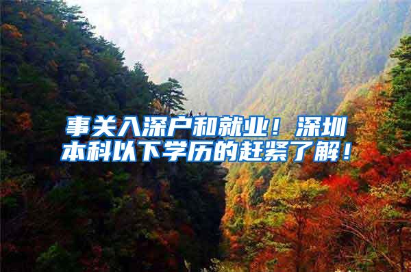 事关入深户和就业！深圳本科以下学历的赶紧了解！