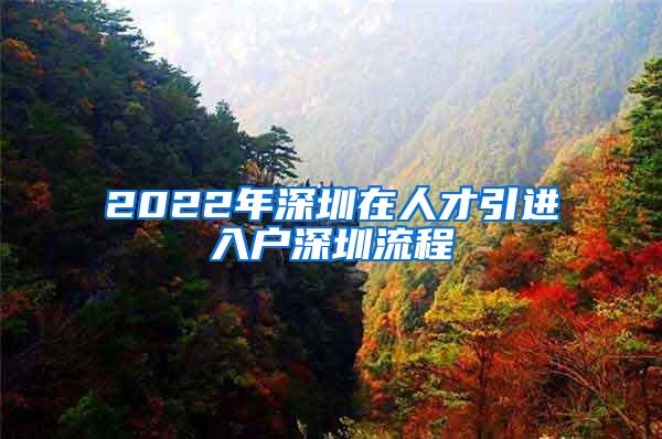 2022年深圳在人才引进入户深圳流程