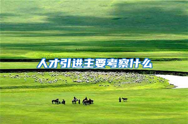 人才引进主要考察什么
