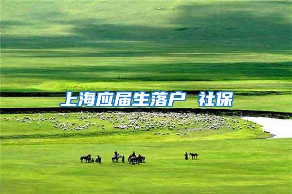 上海应届生落户 社保
