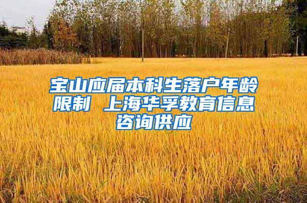 宝山应届本科生落户年龄限制 上海华孚教育信息咨询供应