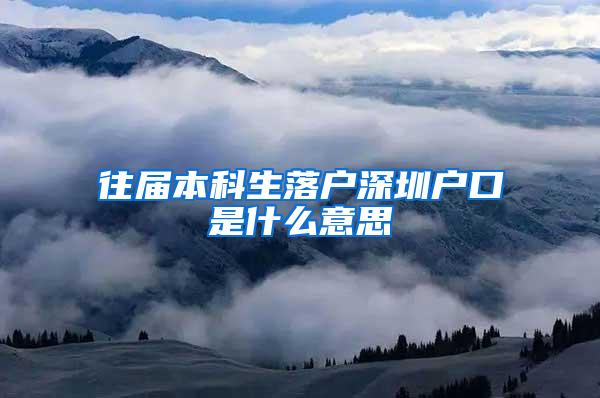 往届本科生落户深圳户口是什么意思