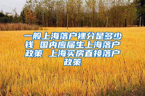 一般上海落户裸分是多少钱 国内应届生上海落户政策 上海买房直接落户政策