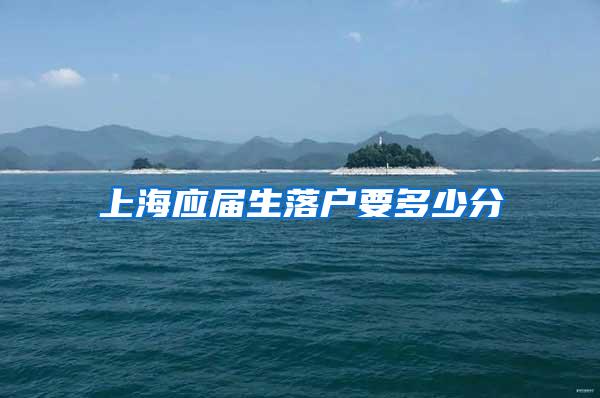 上海应届生落户要多少分