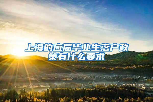 上海的应届毕业生落户政策有什么要求