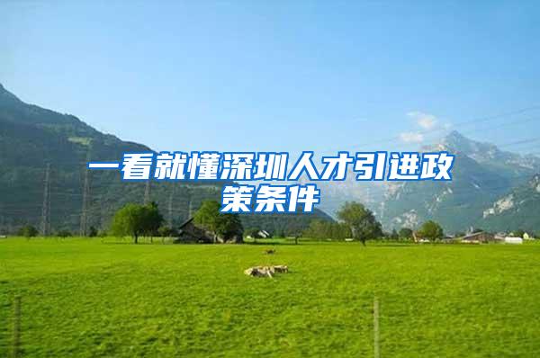 一看就懂深圳人才引进政策条件