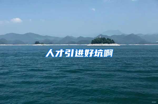 人才引进好坑啊