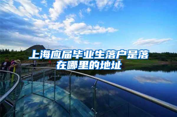 上海应届毕业生落户是落在哪里的地址