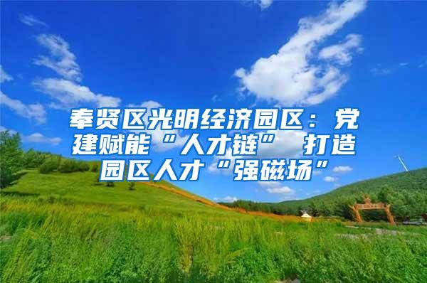奉贤区光明经济园区：党建赋能“人才链” 打造园区人才“强磁场”