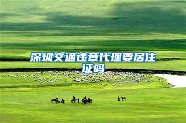 深圳交通违章代理要居住证吗