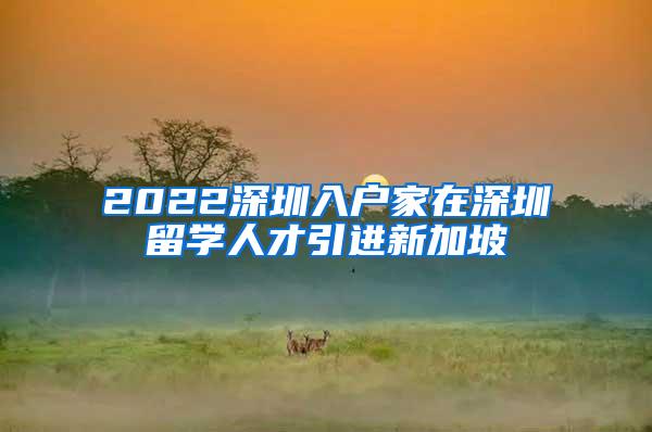 2022深圳入户家在深圳留学人才引进新加坡