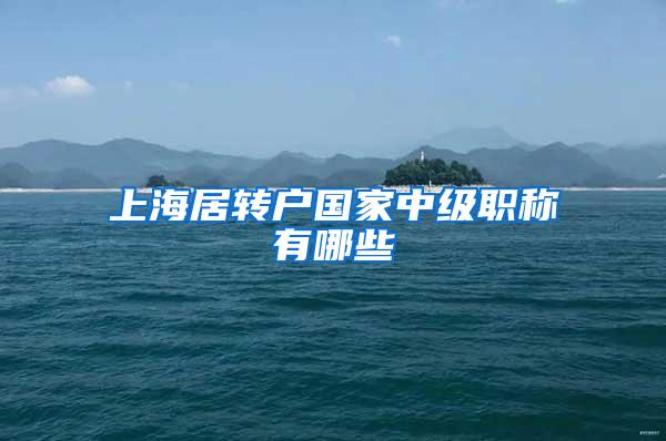 上海居转户国家中级职称有哪些
