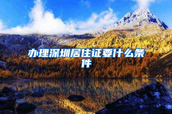 办理深圳居住证要什么条件