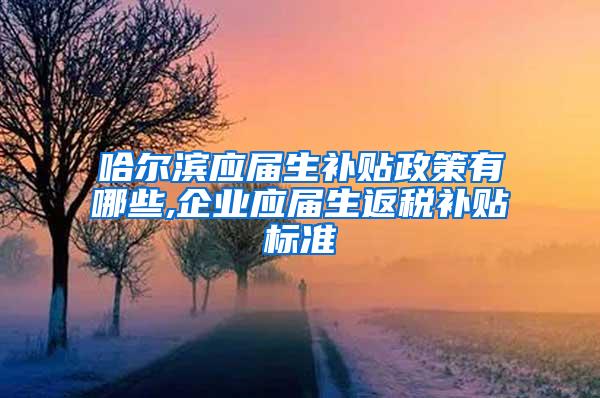 哈尔滨应届生补贴政策有哪些,企业应届生返税补贴标准