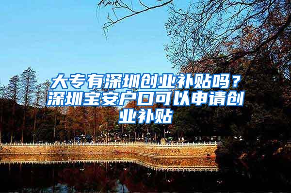 大专有深圳创业补贴吗？深圳宝安户口可以申请创业补贴