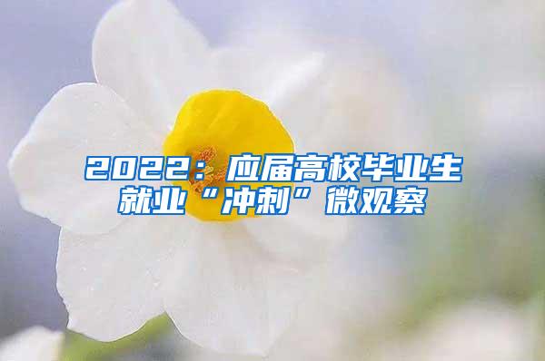 2022：应届高校毕业生就业“冲刺”微观察