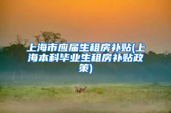 上海市应届生租房补贴(上海本科毕业生租房补贴政策)
