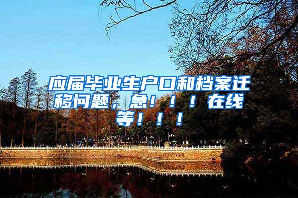 应届毕业生户口和档案迁移问题，急！！！在线等！！！