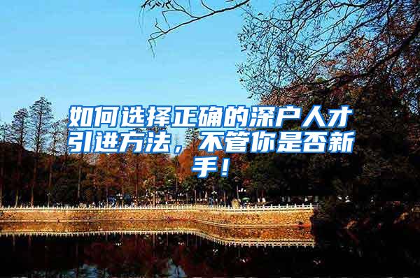 如何选择正确的深户人才引进方法，不管你是否新手！
