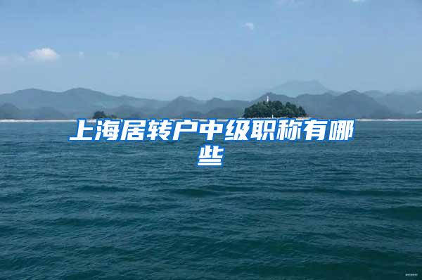 上海居转户中级职称有哪些