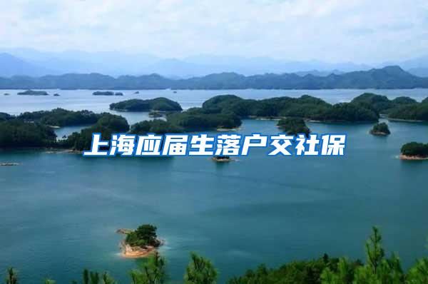上海应届生落户交社保