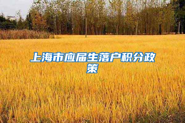 上海市应届生落户积分政策