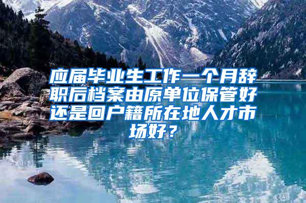 应届毕业生工作一个月辞职后档案由原单位保管好还是回户籍所在地人才市场好？