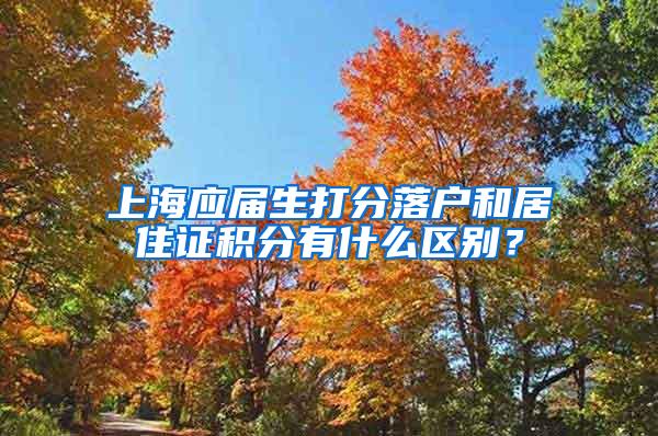 上海应届生打分落户和居住证积分有什么区别？