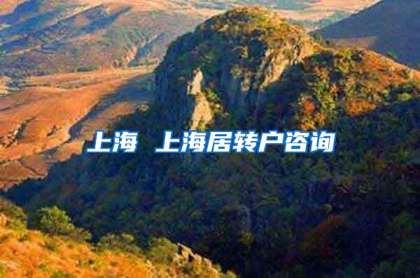 上海 上海居转户咨询