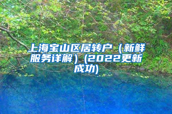 上海宝山区居转户（新鲜服务详解）(2022更新成功)